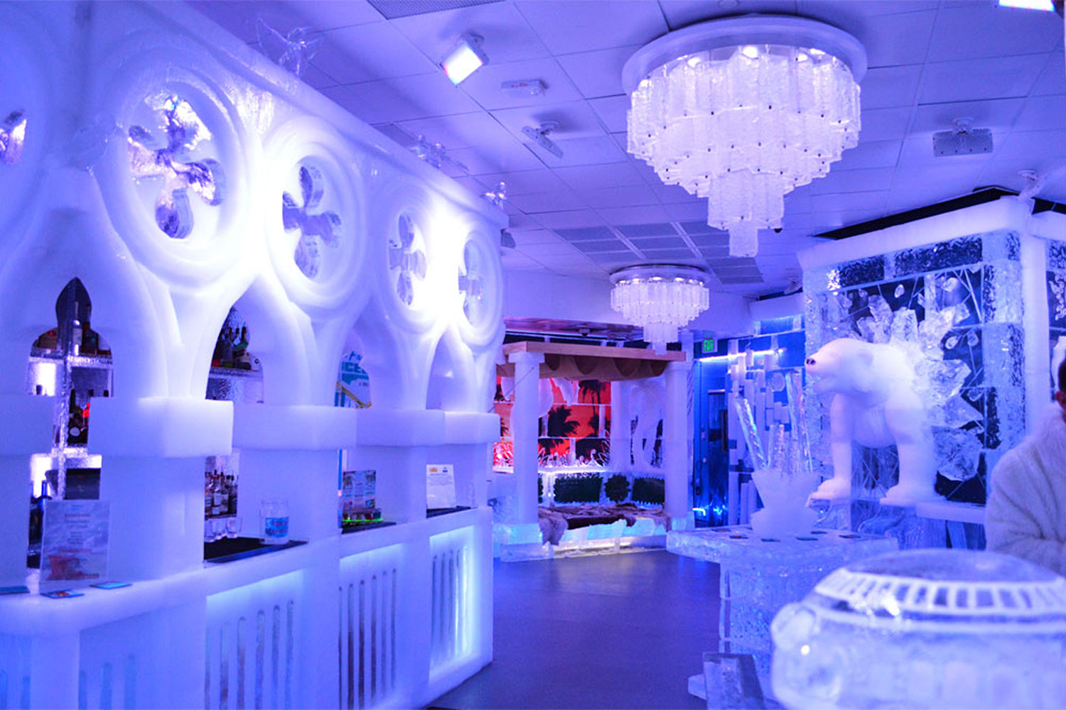 minus5 Ice Bar